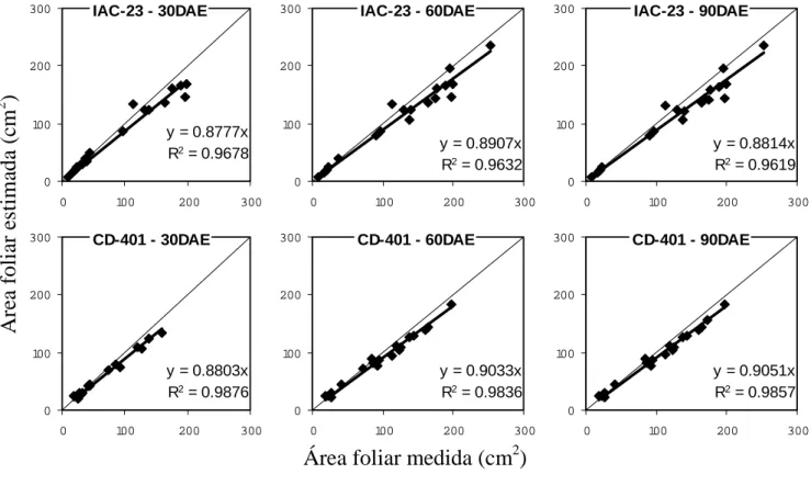Figura 3. Relação entre área foliar estimada pelas dimensões das folhas e área foliar  medida, avaliadas em três épocas