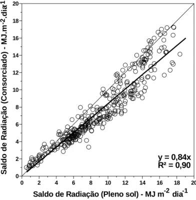 Figura 7. Relação entre os valores diários do saldo de radiação (MJ m -2  dia -1 ) em cultivo de café a pleno sol e em cultivo de café consorciado com bananeira Prata Anã (média dos pontos amostrais), em Mococa (SP), no período de outubro de 2001 a setembr