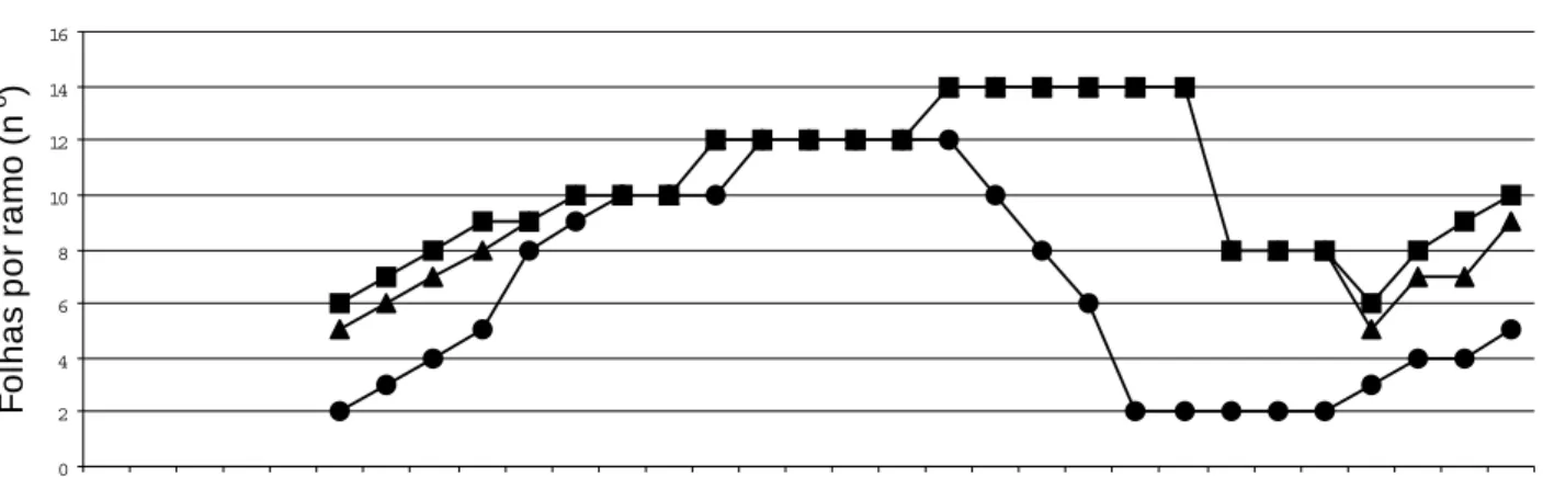 Figura 1. Enfolhamento das plantas (A) e níveis de infestação por L. coffeella (B) e H