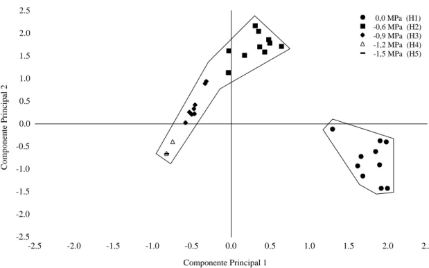 Figura 6. Distribuição dos resultados em função da disponibilidade hídrica, nos componentes principais 1 e 2, das avaliações fisiológicas realizadas em cultivares de guandu sob condições de disponibilidade hídrica e presença de alumínio no substrato