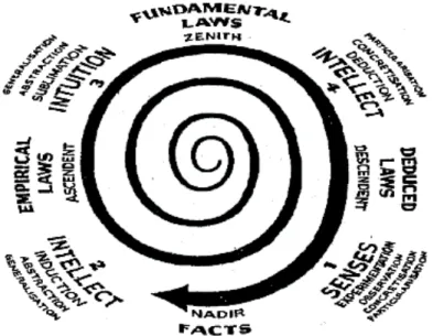 Figura l: A Espiral do Universo do Conhecimento.