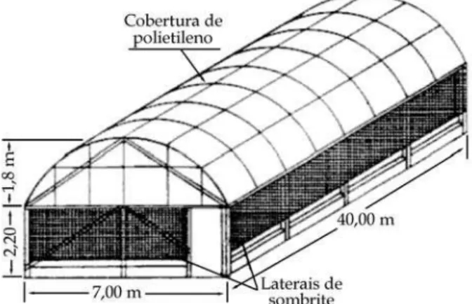 Figura 1. Esquema representativo do ambiente protegido por cobertura de polietileno.