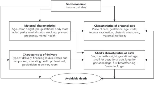 Table 1 shows the incidence of avoidable  deaths and the cumulative incidence ratio  ac-cording to the child’s characteristics at birth