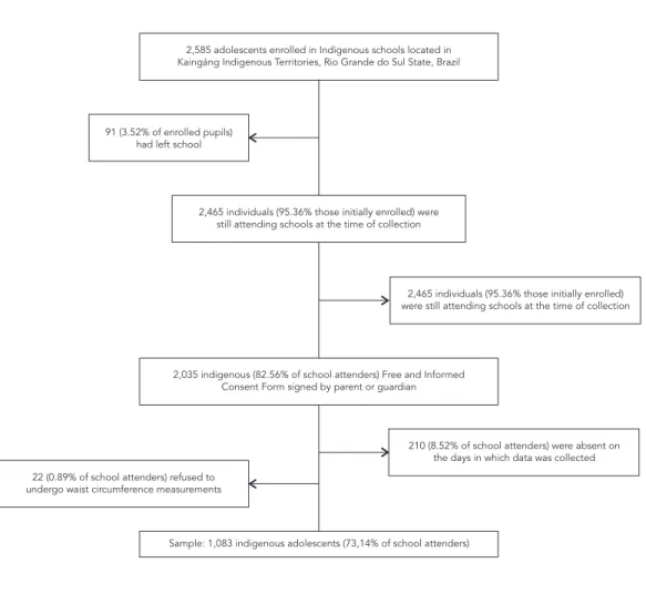 Figure 1 shows the total number of adolescents  enrolled in schools at the time of the study, the 