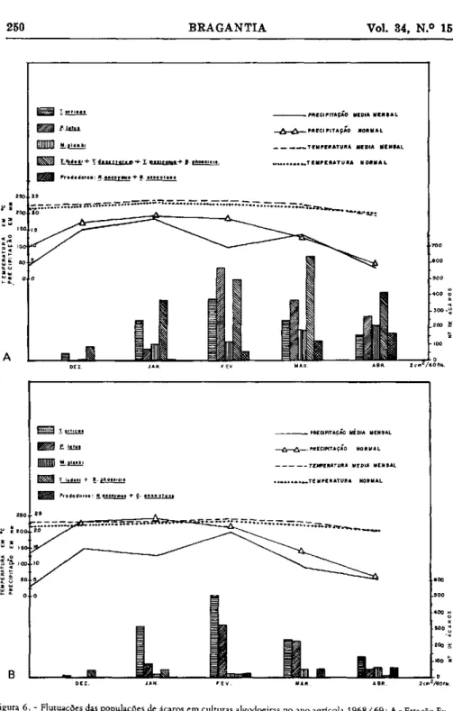 Figura 6. - Flutuações das populações de ácaros em culturas algodoeiras no ano agrícola 1968 / 69: A - Estação Ex- Ex-perimental de Tatuí; B - Centro ExEx-perimental de Campinas