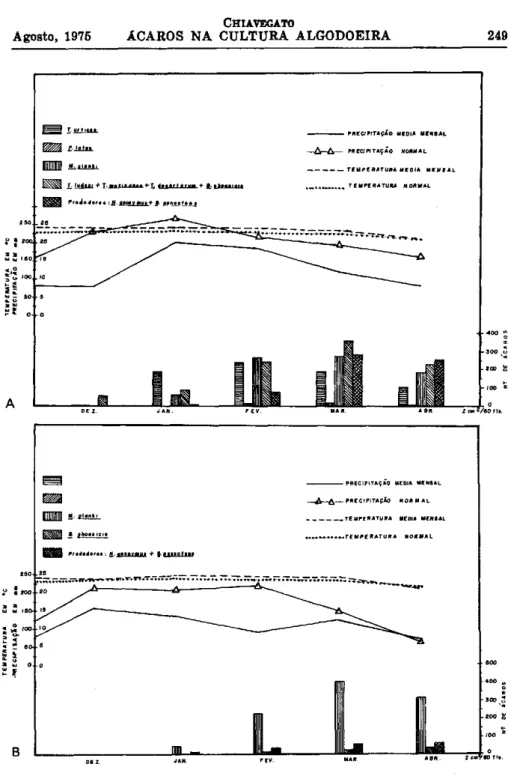 Figura 5. - Flutuações das populações de ácaros em culturas algodoeiras no ano agrícola 1968/69: A-Estação Ex- Ex-perimental de Mococa; B - Estação ExEx-perimental de Jaú