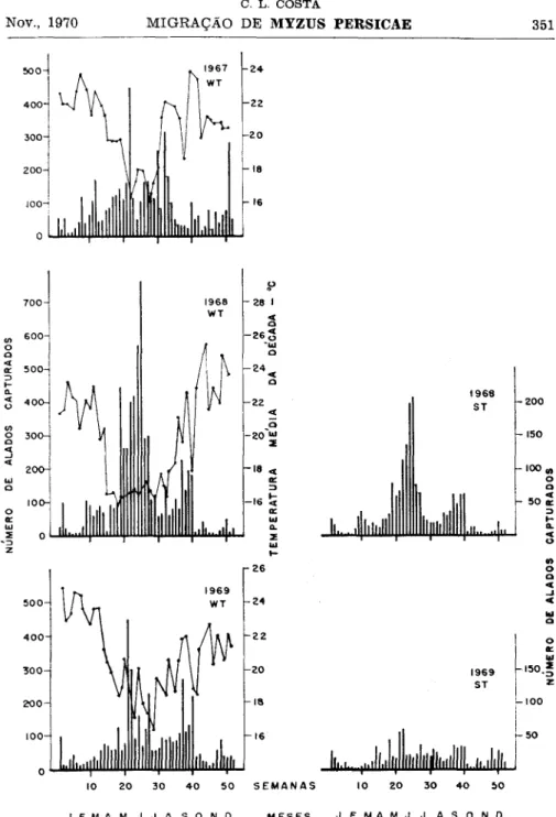 Figura 1. — Comparação das amostras semanais (colunas) de alados de Myzus  persicae obtidas em Campinas nos anos de 1967, 1968 e 1969 em  u m a armadilha  de  á g u a (WT) e em  u m a de sucção  ( S T ) 