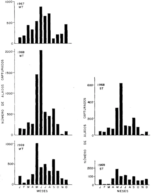Figura 2. — Comparação das amostras mensais de alados de Myzus perslcae  obtidas em Campinas, SP,  d u r a n t e os anos de 1967, 1968 e 1969, em  a r m a d i l h a  de água (WT) e de sucção (ST)