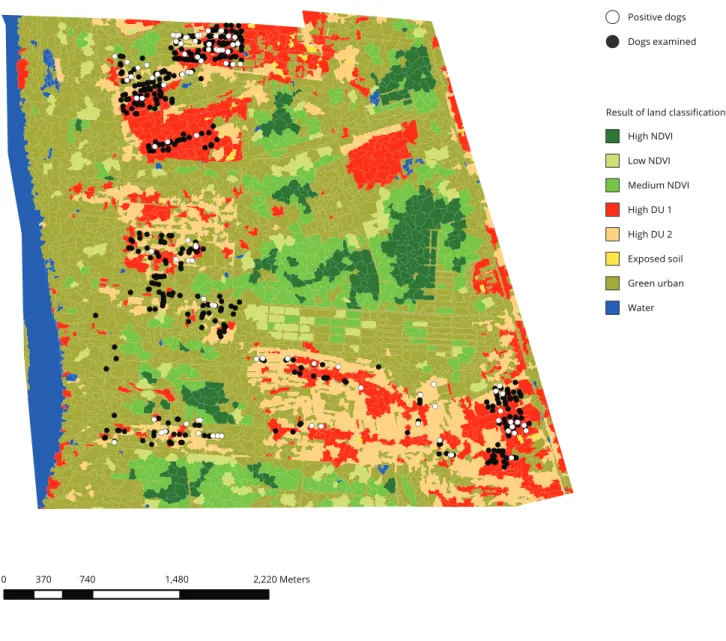 Figure 3 shows the result of the classification of satellite images. In the more urbanized areas, where  the households investigated for canine VL are located, the land use and cover characteristics of “High  NDVI” and “Low NDVI” are absent, and the charac