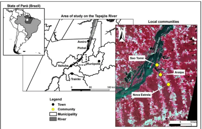 Figure 1. Localization of the three communities, São Tomé (ST), Lago Araipá (LA) and Nova Estrela (NE) in the study area (Amazonian region,  Pará state, Brazil).Image graciously given by SEAS Guyane project (IRD-Cayenne) and processed by E