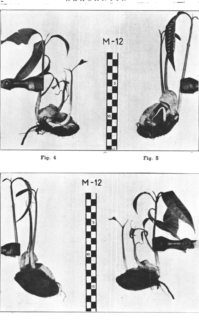 Fig. 6  Fig. 7 