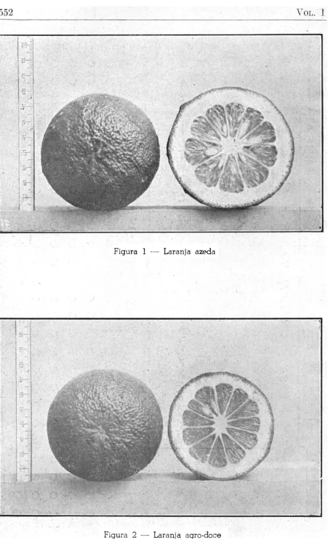 Figura 2 - Laranja  a g r o - d o c e 