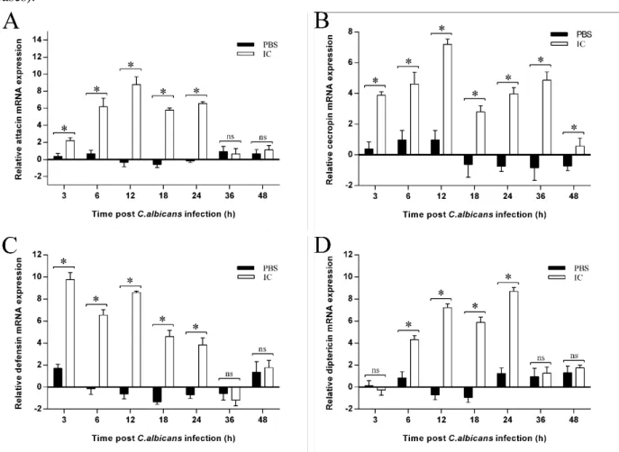 Figure 5 AMP genes expression pattern in housefly larvae with C. albicans infection. In the IC group, the larvae were  injected with 210 nl suspension of C