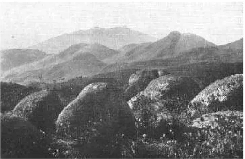 Fig. 26 – Vista tomada do alto Camapuá sobre o pico Guaricana (1551 m) e a Serra Capivari Grande em direção N10ºE