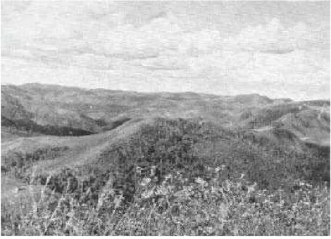 Fig. 30 – Primeiro planalto. Paisagem montanhosa típica da série Açunguí; vista tomada da Serra Ouro Fino em direção NW