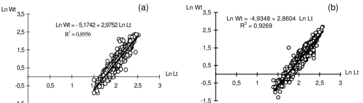 Fig. 9. Xiphopenaeus kroyeri. Transformação logarítmica da relação peso/comprimento total para machos (a) e