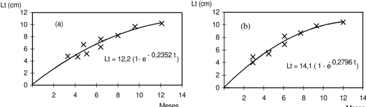 Fig. 11. Xiphopenaeus kroyeri. Curva de crescimento em comprimento total para machos (a) e fêmeas (b)