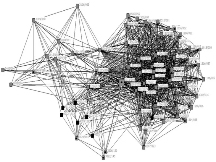 Figura 7. Egorrede do ator-chave gestor