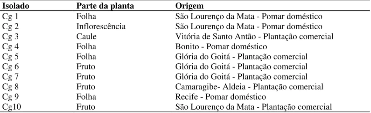 TABELA II. Relação dos isolados de C. gloeosporioides (Cg) obtidos de maracujzeiro no Estado de Pernambuco, BR.