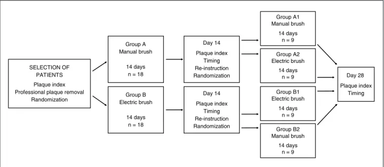 FIGURE 1 -  Study design.