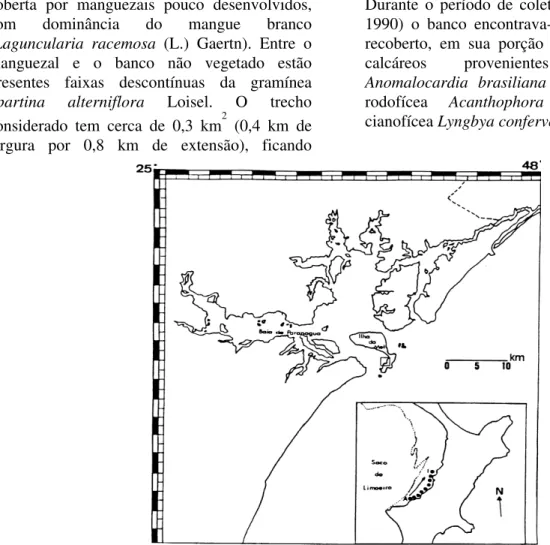 Figura 1. Mapa da área de estudo. Em destaque a distribuição das estações de coleta no limite superior da planície entre marés do Saco do Limoeiro
