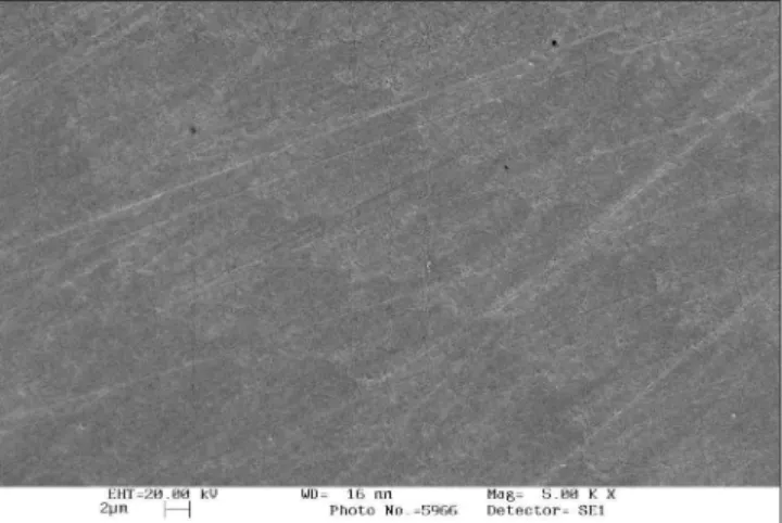 FIGURE 1 -  Enamel surface morphology of unbleached  control group. A smooth and unchanged surface is  not-ed (5,000 X).