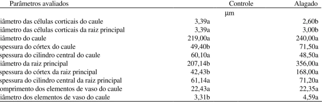 Tabela 1. Anatomia comparada das bases da raiz principal e do caule de plantas controles e alagadas por 40 dias de