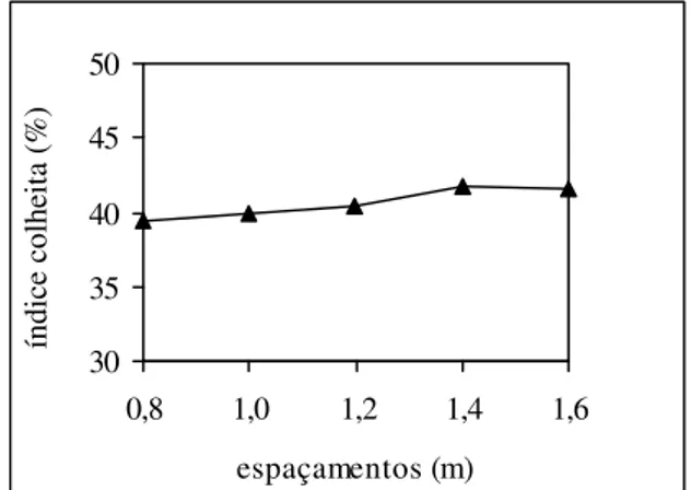 Figura 4. Número de raízes tuberosas por planta em função dos espaçamentos entre as linhas.