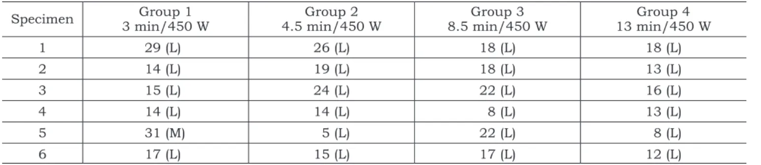 TABLE 4 -  Quantity of pores and score of each sample.