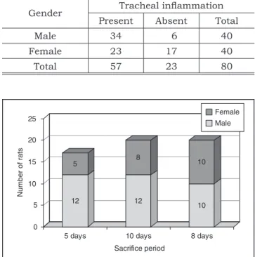 TABLE 3 -  Relation (number of rats) between tracheal  inﬂammation and gender of animals.
