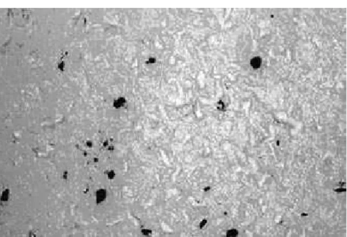 Figure 3 presents the image shown in Figure 1  after being processed and analyzed. The mean area, 