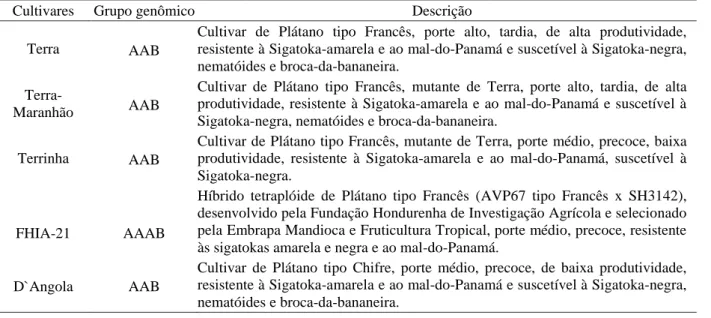 Tabela 1 – Descrição das cultivares tipo Terra avaliadas na Escola Agrotécnica Federal Antônio José Teixeira, Guanambi, BA, 2003-2004.