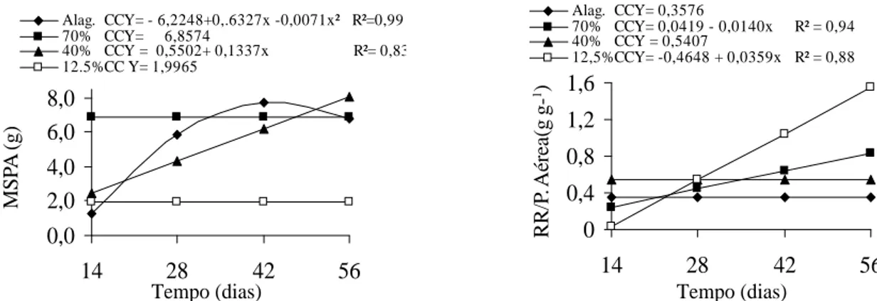 Figura 6 – Razão de peso foliar (a) e razão de área foliar das mudas de pau-ferro (Caesalpinia ferrea) em função de dias de tratamento e regimes hídricos.