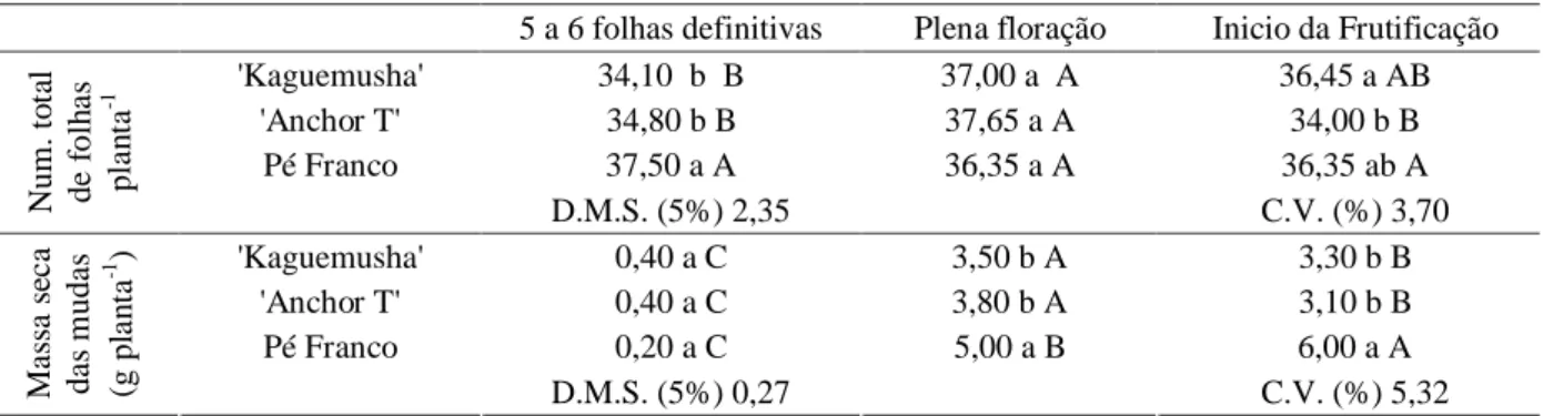 Tabela 3 – Massa fresca e seca da folha localizada abaixo da terceira penca. UNESP/FCA – Botucatu - SP, 1998.