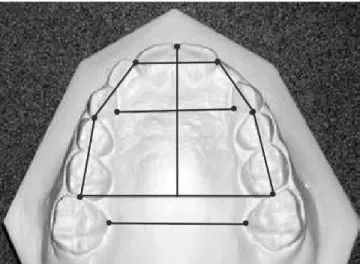 FIGURE 1 - Reference Points.