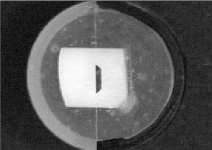Figure 1 - Standardization of the crown fragment position  in the PVC pipe using a glass slide/blade with a mark  cor-responding to the central region of the tooth.