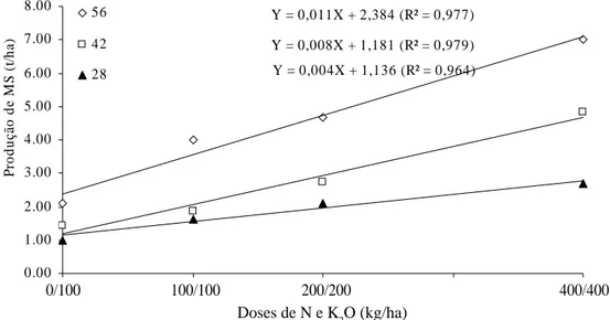 Figura 1 – Produção total de MS de Brachiaria humidicola em função de doses de N e K 2 O  nos intervalos de rebrota de 28, 42 e 56 dias