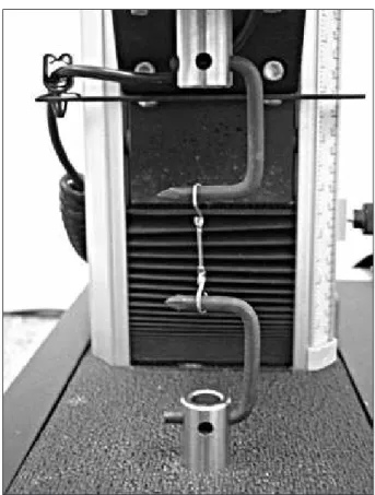 Figure 1 - The test specimens were held stretched by means  of a brass base with four screws that compounded two  inde-pendent columns.