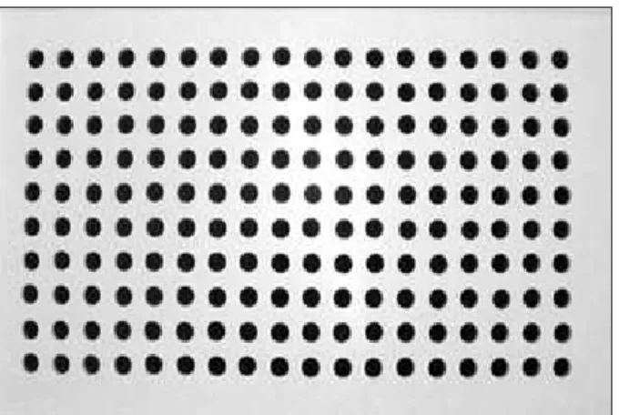Figure 2 - Encapsulator number zero.