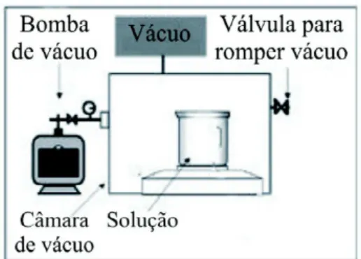 Figura 1 - Equipamento para impregnação a vácuo. Teor de sólidos solúveis totais (SST)
