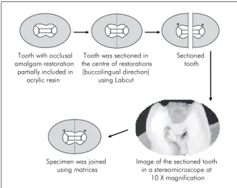 Figure 1 - Schematic representation of the procedures.