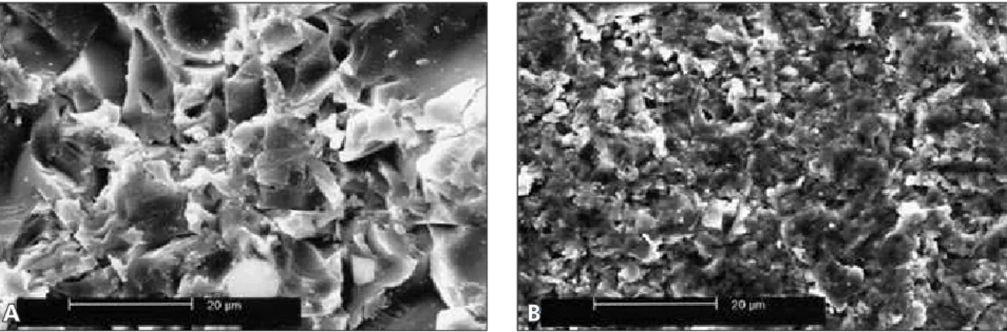 Figure 4 - Representative SEM micrographs of (A) V and (B) INC ceramic surfaces after chairside silica coating (30 µm SiO x ,  CoJet System)