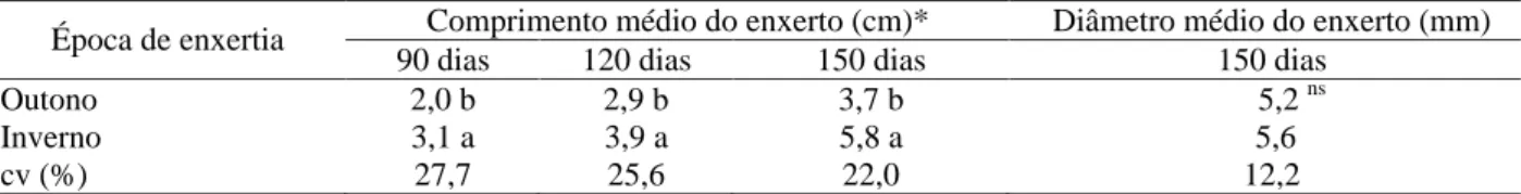 Tabela 2 – Diferentes épocas de enxertia pelo método de garfagem no comprimento médio dos enxertos (90, 120 e 150 dias após a enxertia) e diâmetro médio dos enxertos (última avaliação) de cultivares de nespereiras enxertadas no  porta-enxerto ‘Japonês’ (Ch