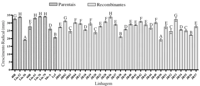 Figura 3 – Crescimento radial (mm) das linhagens parentais e recombinantes de L. edodes no 16° dia de incubação a 30° C em meio de cultura