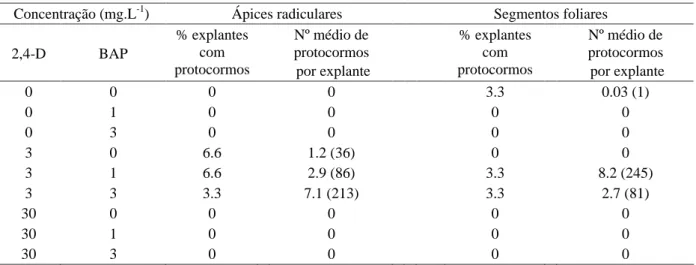 Tabela 1 – Efeito do 2,4-D e do BAP na regeneração de protocormos a partir de ápices radiculares e segmentos foliares de Miltonia flavescens após 360 dias de cultivo in vitro (média de 30 explantes)