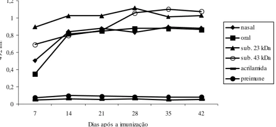 Figura 2 – Teste de ELISA revelando a cinética de acúmulo de imunoglobulinas totais específicas para o CPSMV  em antisoro  de  camundongos  imunizados  com:  ( )  2,5  g  de  partículas  do  CPSMV  pela  via  nasal,  (¦ )  10  g  de  partículas do CPSMV pe