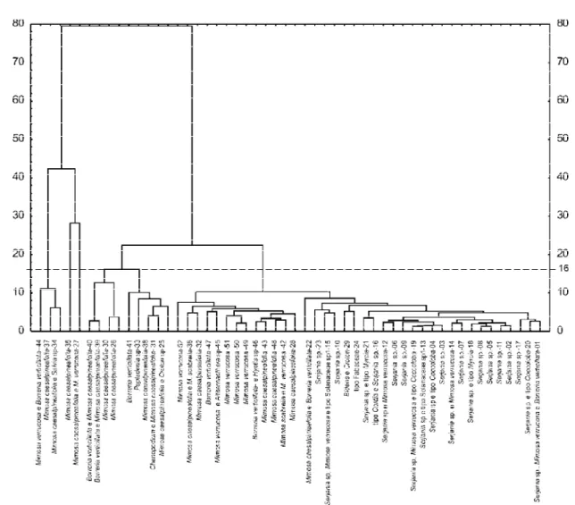 Figura 1 – Fenograma por UPGMA e distância euclidiana média de 52 amostras de méis de Apis mellifera, do estado do Ceará