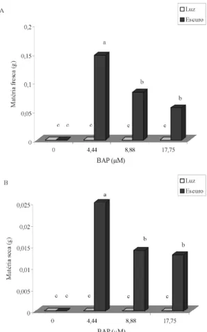 Figura  4  –  Matéria  fresca  (A)  e  seca  (B)  dos  calos  de barbatimão,  em  diferentes  concentrações  de  BAP, cultivados  na  presença  e  na  ausência  de  luz