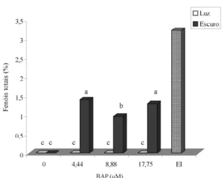 Figura  5  –  Teores  médios  de  fenóis  totais  em  calos  de barbatimão  provenientes  de  meios  com  diferentes concentrações de BAP e no explante inicial (EI)
