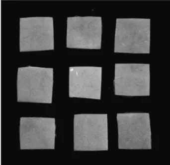 Figure 1 - Resin samples made for the readings.